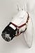 Best Friend Equine Cribbing Muzzle Horse Large