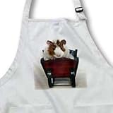 Cassie Peters Guinea Pig - Baby Guinea Pig in Sleigh photography by Angelandspot - Aprons