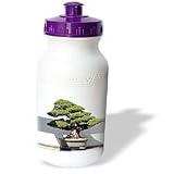 Trees - Bonsai Tree - Water Bottles