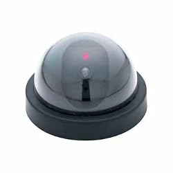 SE Dummy Security Camera, Dome Shape, 1 Red Flashing Light