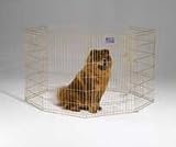 Midwest Container 8 Panel Exercise Pen Gold 24x36 Inch - 544-36