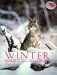Winter: 2