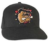 Hamilton Bulldogs American Hockey League Cap