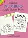 Invisible Numbers Magic Picture Book (Dover Little Activity Books)
