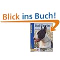 Bull Terrier, Praxisratgeber