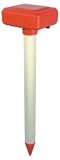 Isotronic Ameisenschock