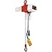 ED Dual Speed Electric Chain Hoist - 350 lbs, 120V, 66/13 ft/min, 10