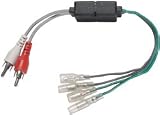 High To Low Adapter with Male RCAs