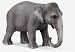 Schleich Female Indian Elephant