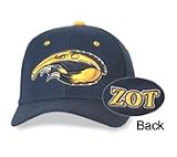 University of California Irvine Cap