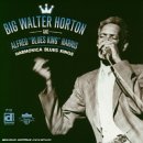 Harmonica Blues King