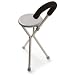 Walking Seat and Cane in One