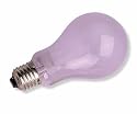 20,000 Hour Natural Daylight Bulbs