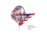 Patriotic Triple Spinner