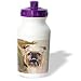 Dogs Brussels Griffon - Brussels Griffon Portrait - Water Bottles