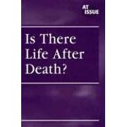 Is There Life After Death (At Issue (Paperback))