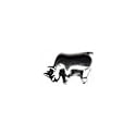 Rhino Oriana Bead - CLEARANCE FINAL SALE