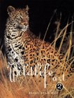 Best of Wildlife Art: v. 2