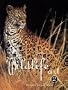 Best of Wildlife Art 2 (v. 2)