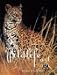 Best of Wildlife Art 2 (v. 2)