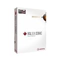 HALION SONIC �ʏ��