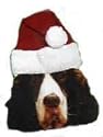 Pet Santa Hat for a Christmas Costume Hat