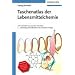 Taschenatlas der Lebensmittelchemie: Functional Food, BSE-Analytik, Lebensmittelqualit�t