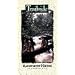 Rainforests 2