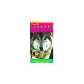 The Search For Canada's Most Secret Animal [VHS]