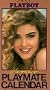 Playboy / 1993 Video Playmate Calendar [VHS]