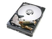 Hitachi Deskstar T7K500 3.5 inch Hard Disk Drive 400GB (Serial-ATA) 7200rpm 16MB Buffer