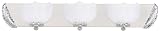 Acanthus 3 Light Vanity Fixture