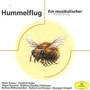 Hummelflug
