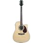 JB Player Acoustic/Electric Guitar