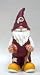 Washington Redskins 2008 Team Gnome