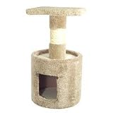 Pet Supplies : Claw Pals California Kitty Condo