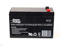 12 Volt 7 Amp Hour Alarm Battery