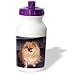 pomeranian18  - Dogs Pomeranian Pomeranian Dog Water Bottles
