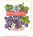 Black Currant Tea Single Tea Bag