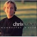 Wonderful World