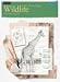 Drawing: Wildlife with Gene Franks
