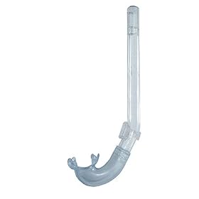 Buy Dacor Traditional Sports Snorkel for Scuba Diving and Snorkeling Dive Diver