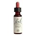 Bach Essence Beech 20 Liquids