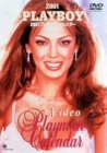プレイボーイ 2001 プレイメイト・ビデオ・カレンダー