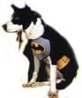 TM Batdog Costume - Fun for Halloween Batman Costume Themes