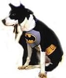 TM Batdog Costume - Fun for Halloween Batman Costume Themes