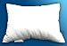 Rectangle Pillow Form Insert - 12