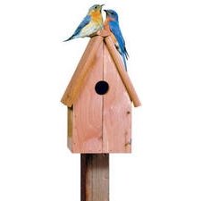 Perky-Pet 50302 Bluebird Home Cedar Birdhouse