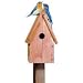 Perky-Pet 50302 Bluebird Home Cedar Birdhouse
