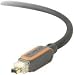Video Games : Belkin BKNAV2200206 PureAV Digital Camcorder FireWire Cable FireWire 4-Pin to 4-Pin 6 Feet